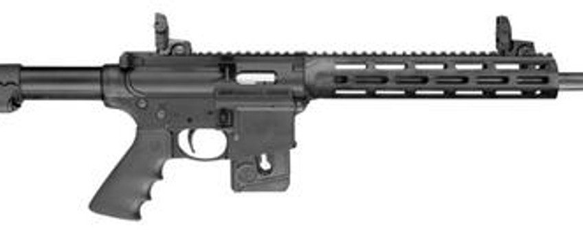 Smith & Wesson M&P15-22 Sport 22 LR, 10rd