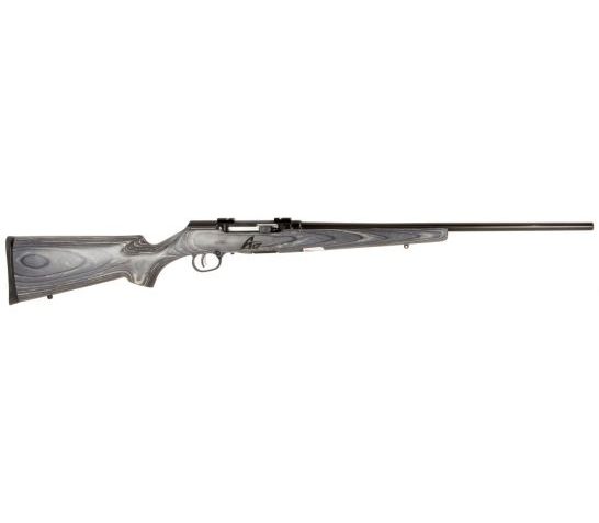 Savage Arms A17 Sporter 17 HMR 10+1 Semi Auto Delayed Blowback Rifle, Fixed – 47008