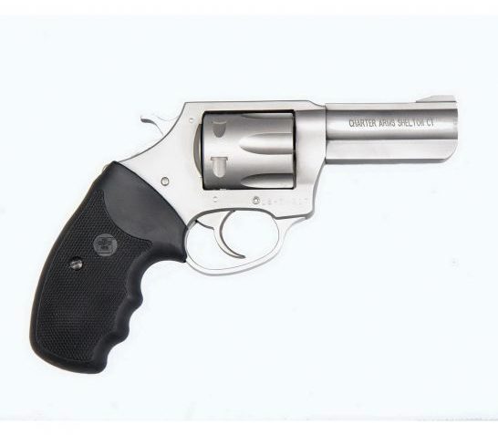 Charter Arms Pitbull Large .380 ACP Revolver, SS – 73802