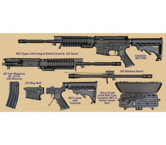 Windham Weaponry .223 Rem/5.56/.300 Blackout Semi-Automatic AR-15 Rifle – RMCS-2