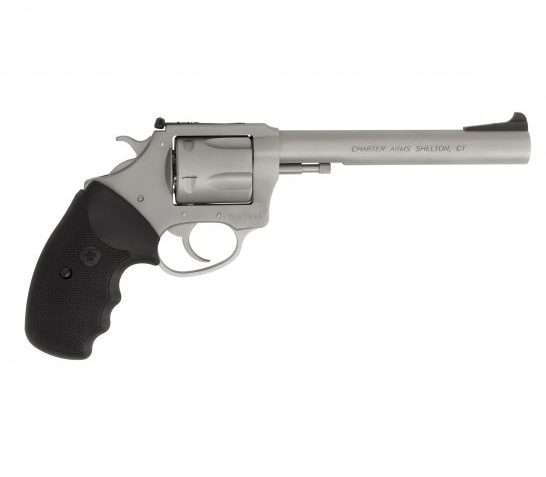 Charter Arms Target Bulldog Large .44 Spl Revolver, Stainless – 74460