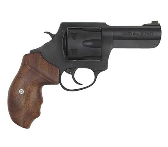 Charter Arms Professional III .357mag Revolver – 63546