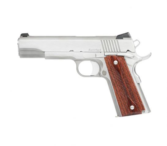 Dan Wesson Razorback 10mm Pistol, Stainless – 01889