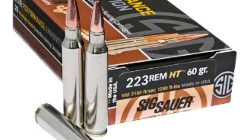 Sig Sauer Elite Hunting 223 Remington 60gr JHP Rifle Ammo – 20 Rounds
