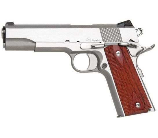 Dan Wesson Razorback RZ-10 10mm Auto Pistol, Forged Stainless – 01907