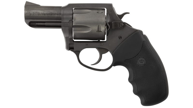 Charter Arms Pitbull .45 ACP 2.5" Barrel 5-Rounds Finger Grooved Black Rubber Grip