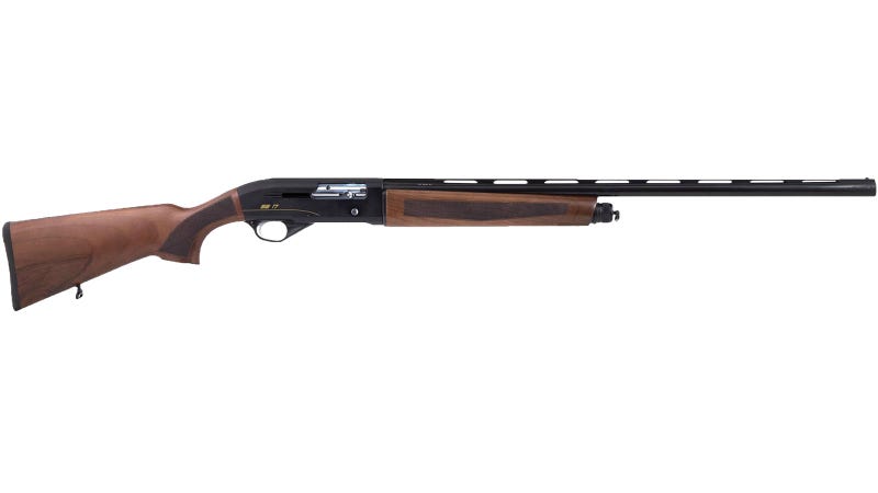 TR Imports Silver Eagle SE17 Youth Walnut 20 GA 24" Barrel 3"-Chamber 4-Rounds