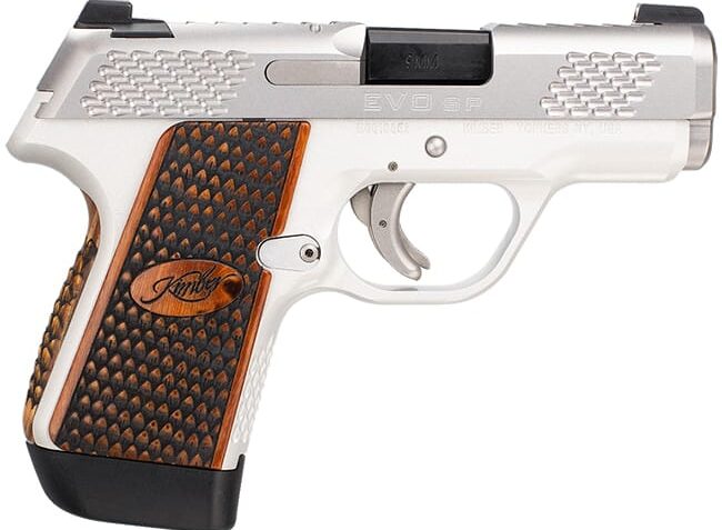 Kimber EVO SP Stainless Raptor 9mm Luger 3.16in Stainless Pistol – 7+1 Rounds