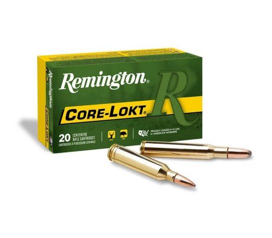 Remington .300 Savage PSP Core Lokt 150gr Ammunition (20rds) – R30SV2