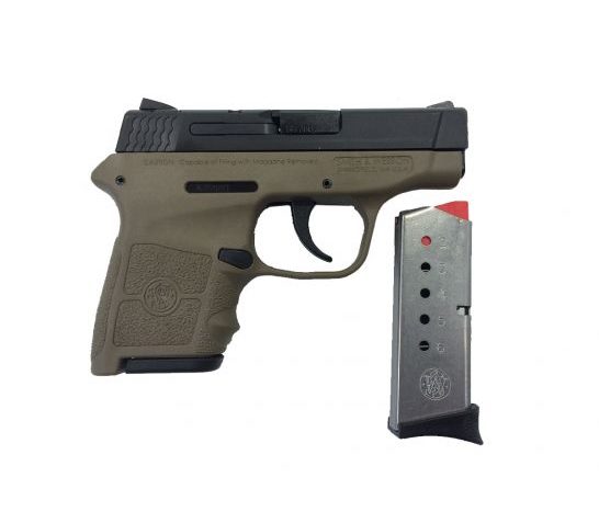 Smith & Wesson Bodyguard .380 Pistol w/o Laser, FDE – 10167