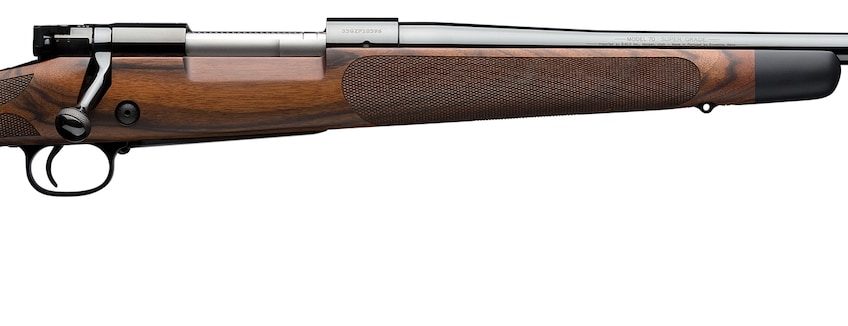 Winchester Guns , Wgun 535239212  M70 Sg Aaa French Ns 243 Win