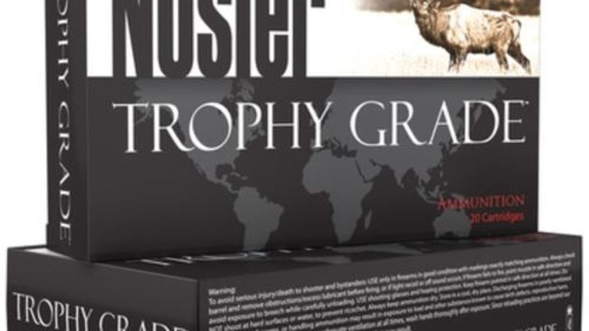 Nosler Trophy Grade .300 H&H Magnum 180 Grain AccuBond Brass Cased Centerfire Rifle Ammo, 20 Rounds, 60060