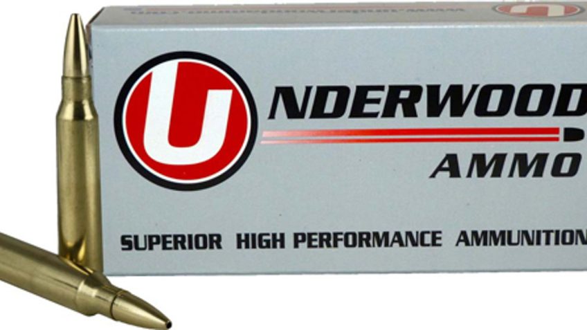 Underwood Ammo .300 Winchester Magnum 175 Grain Solid Monolithic Hollow Point Nickel Plated Brass Cased Rifle Ammo, 20 Rounds, 549