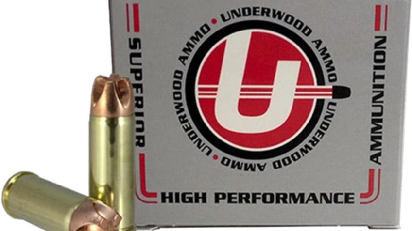 Underwood Ammo .480 Ruger 300 Grain Solid Monolithic Brass Cased Pistol Ammo, 20 Rounds, 650