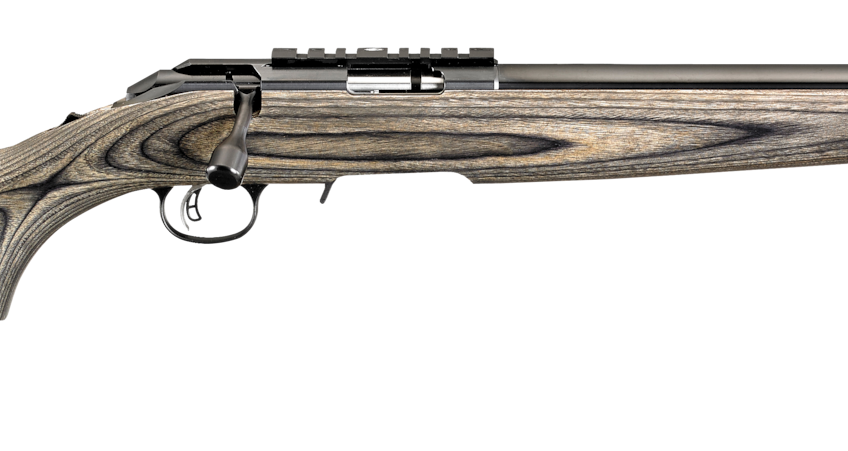 Ruger American Rimfire, Rug 8349  Amer-rf   22wmr       Blk/syn Lam