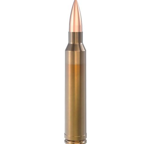 Lapua 300 Winchester Magnum 170gr Naturalis Solid Ammo Box of 10 N317204