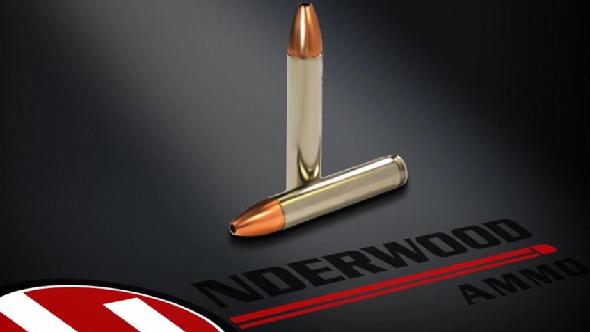 Underwood Ammo .350 Legend 150 Grain Solid Monolithic Hollow Point Nickel Plated Brass Cased Pistol Ammo, 20 Rounds, 471