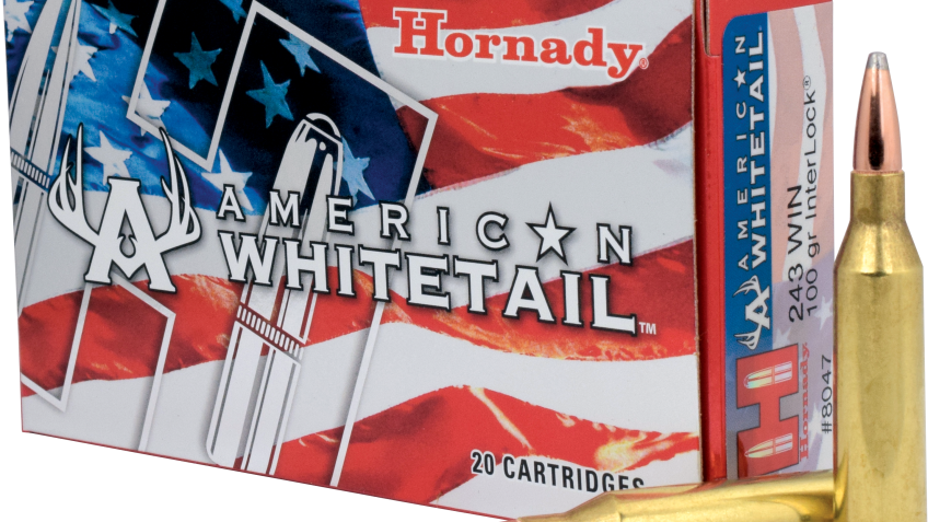 Hornady American Whitetail .243 Winchester 100 Grain Centerfire Rifle Ammo