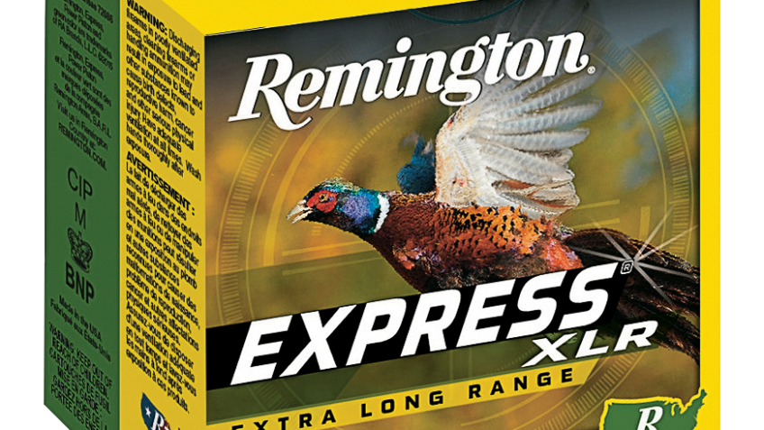Remington Express Extra Long-Range Shotgun Shells – 12 Gauge – #6 Shot – 3