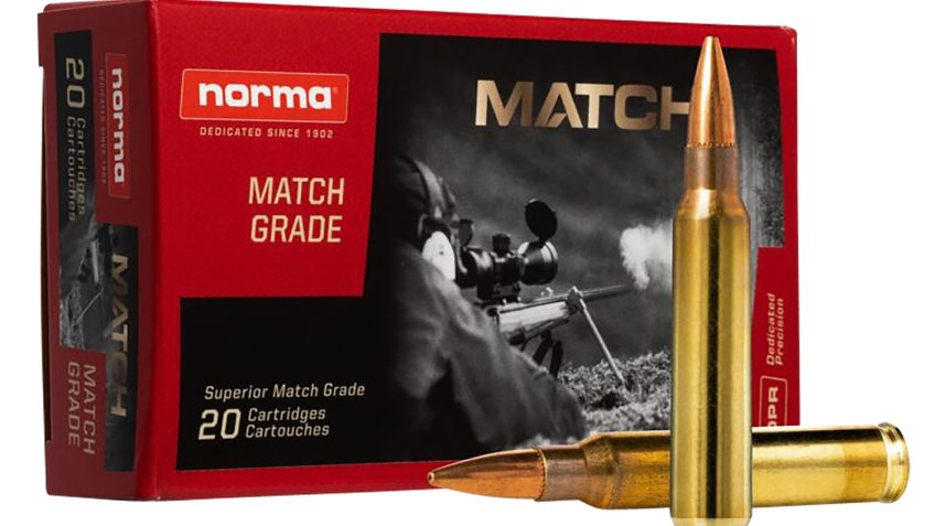 Norma Golden Target .223 REM 77 Grain Boat Tail Hollow Point Brass Cased Rifle Ammo, 20 Rounds, 2423552