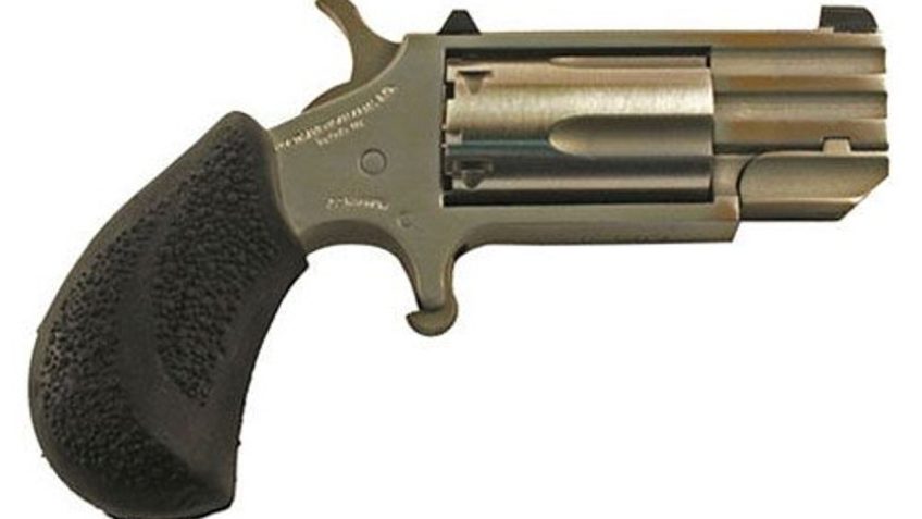 North American Arms Pug .22 Mag/,22 Lr 1" 5rd Stainless Steel pug-dp-c|white dot sights.