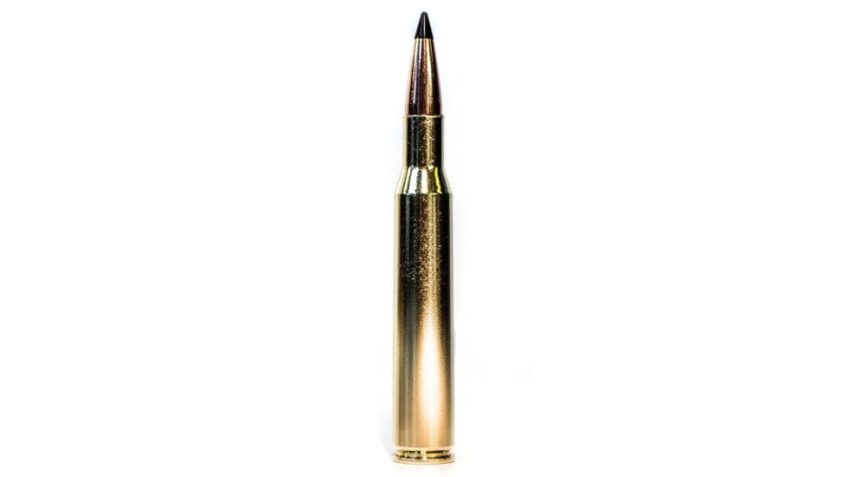 Grizzly Cartridge Co., .25-06 Rem., Swift Scirocco Polymer-Tip BT, 100 Grain, 20 Rounds