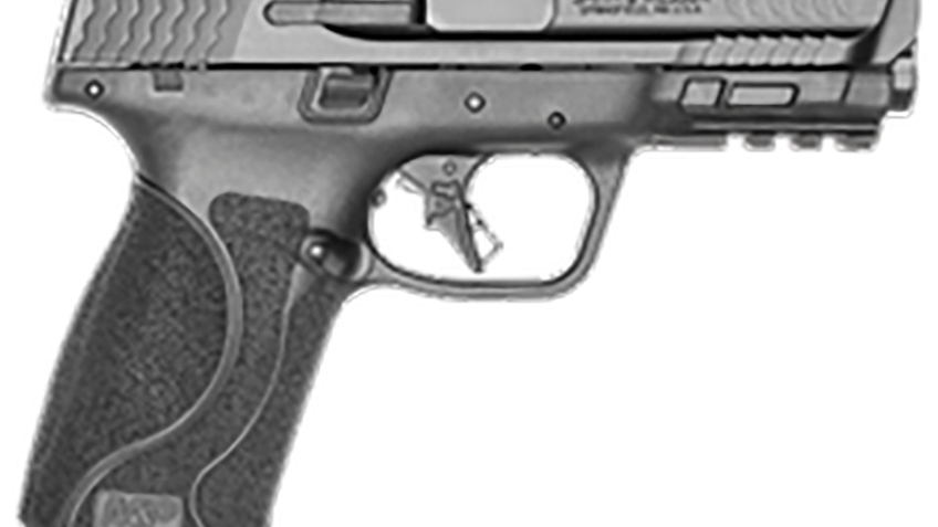 Smith & Wesson M&P9 M2.0 OR LE 13614