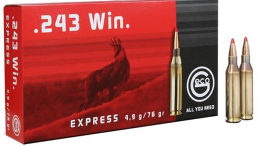 Geco 283440020 .243 Winchester 76 GR Express Tip 20 Box/10 Case