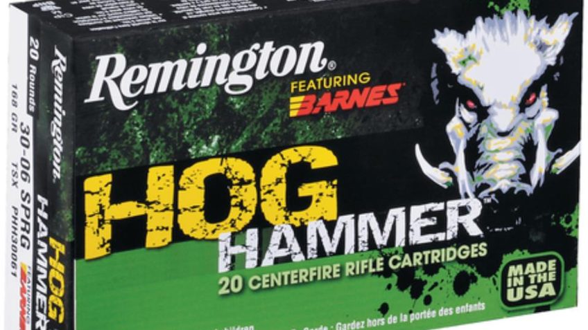 Remington Hog Hammer 30Rem AR 125Gr Barnes Tsx 20/10 047700425702