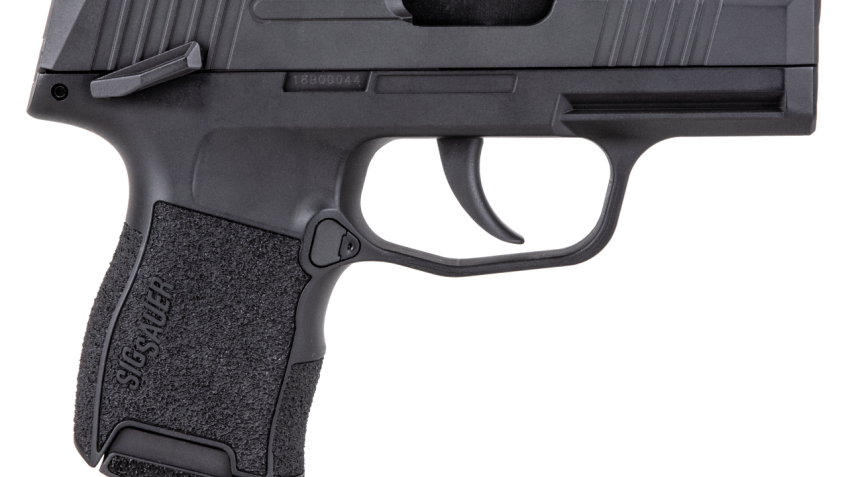 Sig Sauer Airguns Airp365bb P365 Air Pistol Co2 4.5Mm 12Rd Black Polymer Grips
