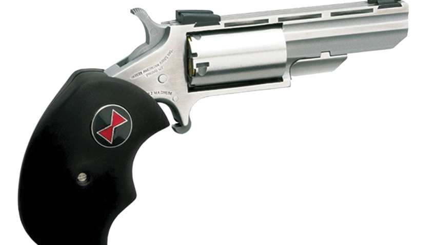 North American Arms Black Widow Single-Action Rimfire Mini Revolver with Fixed Sights – Stainless