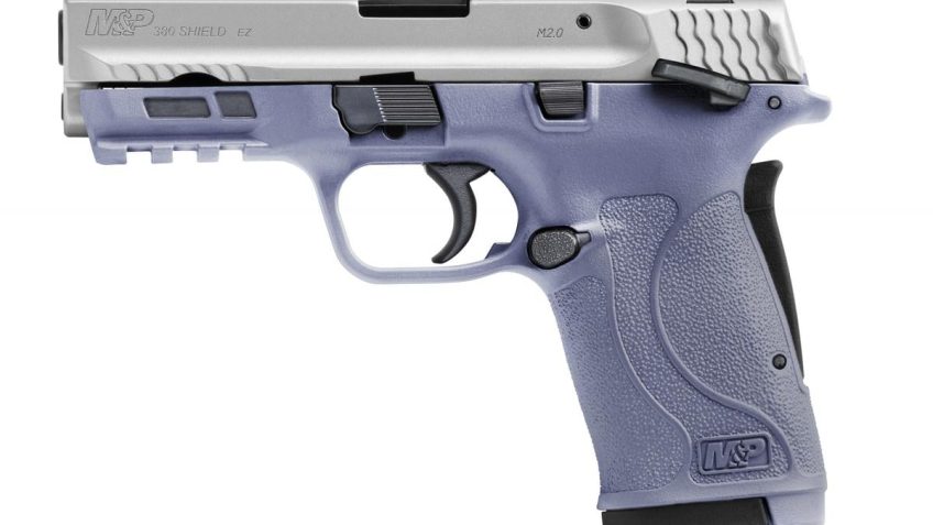 Smith and Wesson M&p380 Shield Ez 380acp Orc/ss