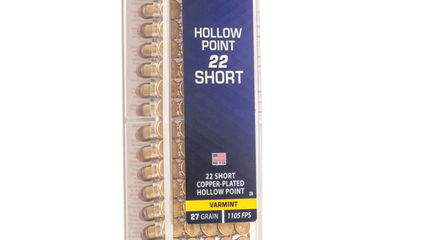 CCI High Velocity 22S 27 Grain Gilded Lead Hollow Point, 100 Round Box