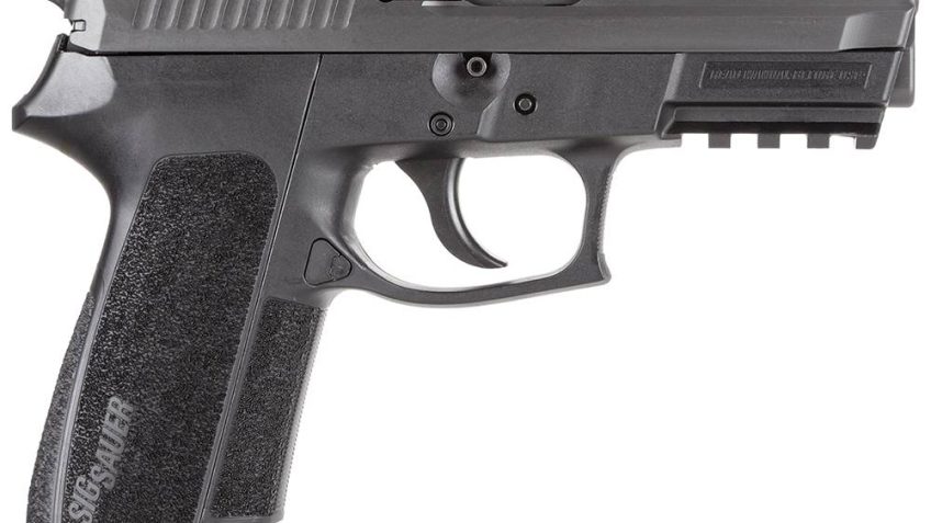 Sig Sauer E20229BSS SP2022 Full Size Single/Double 9mm Luger 3.9″ 15+1 Black Polymer Grip Black Nitride Stainless Steel