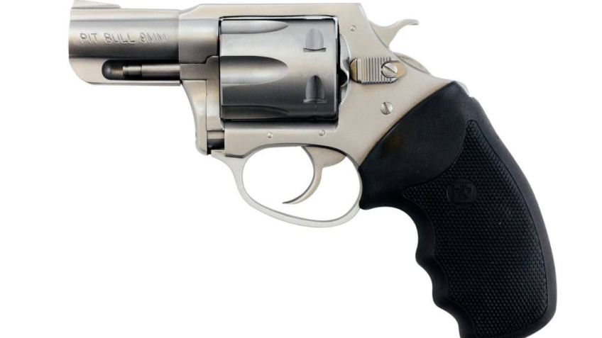 Charter Arms Pitbull DA/SA Revolver – 9mm – Stainless Steel/Black