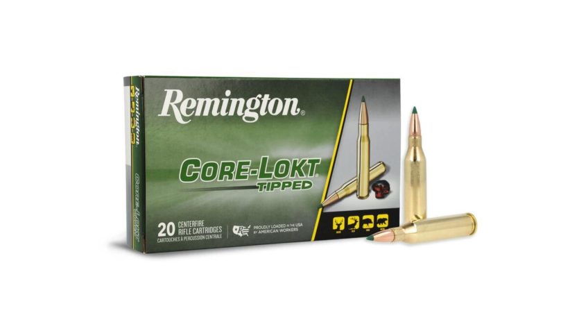 Remington Ammunition 29015 Core-Lokt 243 Win 95 gr Core-Lokt Tipped 20 Bx