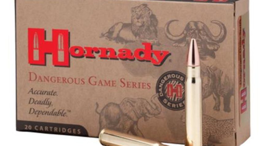 HORNADY Dangerous Game 416 Ruger 400 Grain DGS Ammo, 20 Round Box (82666)