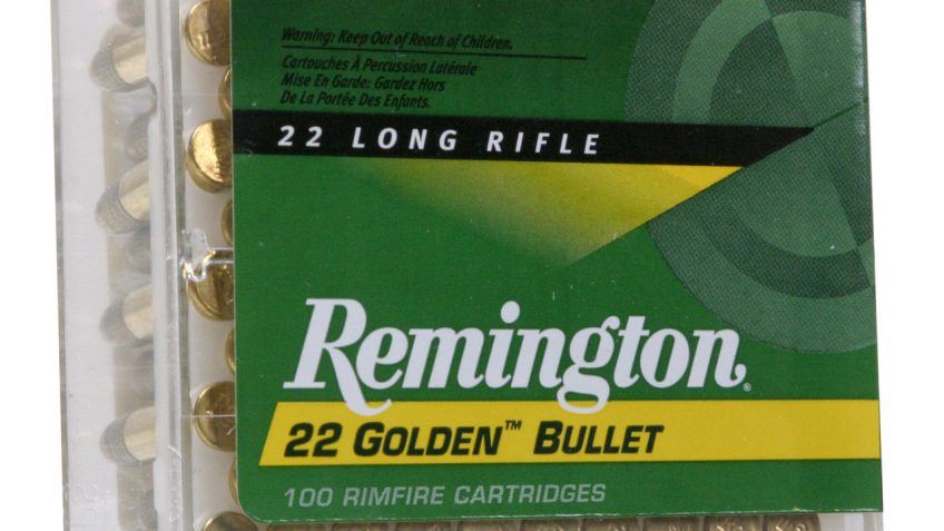 Remington Golden Hunter Rimfire Ammunition .22 LR 40gr PHP 1255 fps 100/ct