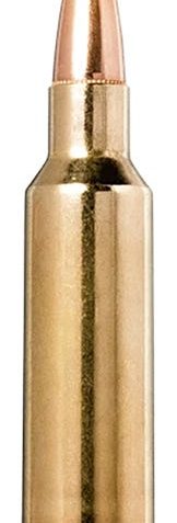 Norma .300 Winchester Short Magnum 170 grain Rapid Expansion Polymer Tip Brass Cased Rifle Ammo, 20 Rounds, 20174022