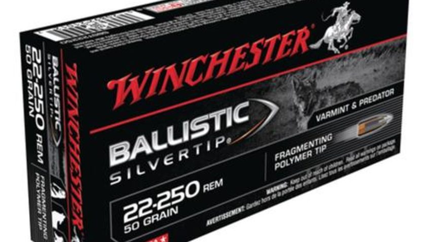 Winchester Ammo Supreme 22-250 50Gr Ballis Silver 20/10 020892210127 –