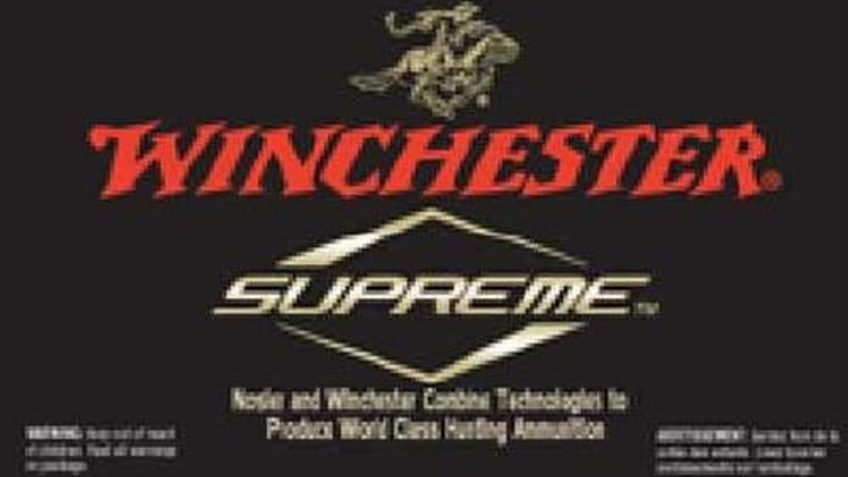 Winchester Ammo Spg454 Supreme 454 Casull 260 GR Partition Gold 20 Bx/ 10 CS