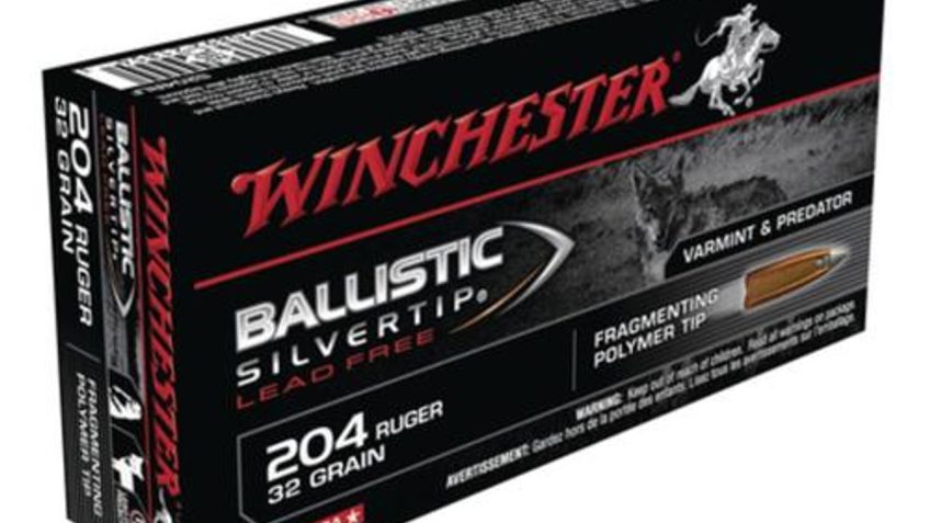 Winchester AMMO 204RUG 32GR BAL SILVERTIP LEADFREE 20/10 020892218543