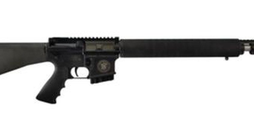 Smith & Wesson M&P15 Performance Center .223 20" 10-Sh Camo 178015 022188780154