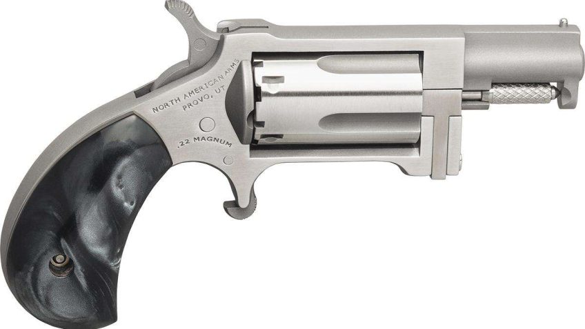 Naa Sidewinder Mini Revolver .22 Wmr 1.5" Barrel W/Black Pearl Grip NAASWGPB 744253003165