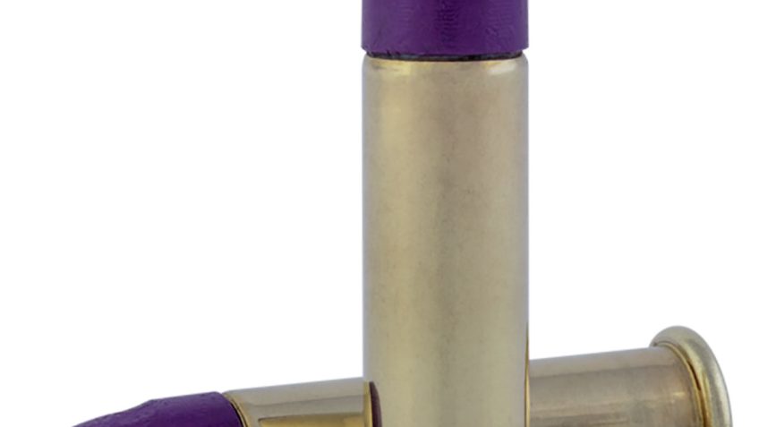 Speer CCI .22 Long Rifle 31 Grain LN Purple Brass Cased Ammo, 50 Rounds, 954CC