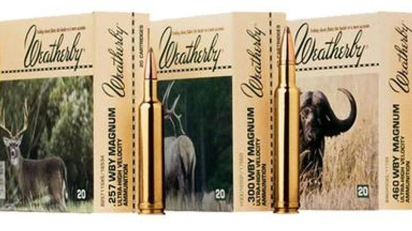 WEATHERBY AMMO 416WBY 350GR BARNES TSX B416350TSX