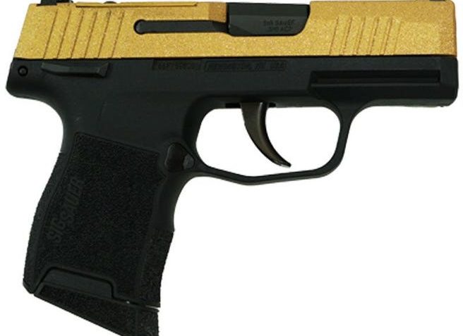 Sig Sauer P365-380-Bss-Ms Exclusive Gold Glitter Handgun .380 10Rd Magazines (2) 3.1" Barrel 640164GG