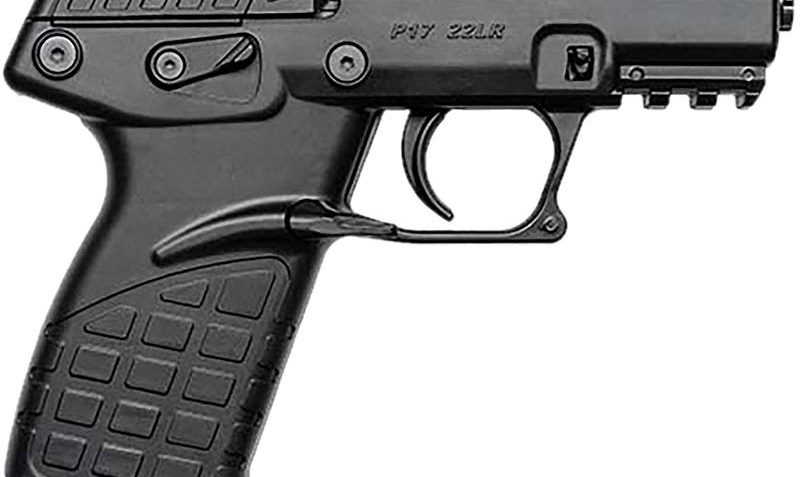 Kel-Tec P17 .22LR 3.80" 16rds Pistol in Black – Reliable Performance and Versatility – P17BBLKOR