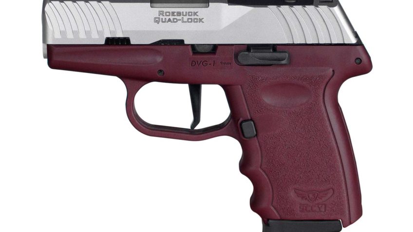 SCCY DVG-1 RDR Crimson Frame/Stainless Slide 9mm 3.1â€ Barrel 10-Rounds