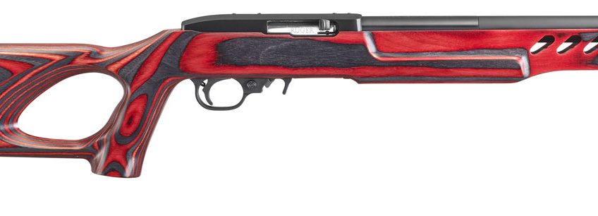 Ruger 21185 10/22 Target Lite 22 LR 10+1 16.13″ Black/Red Fixed Thumbhole Stock Satin Blued Right Hand